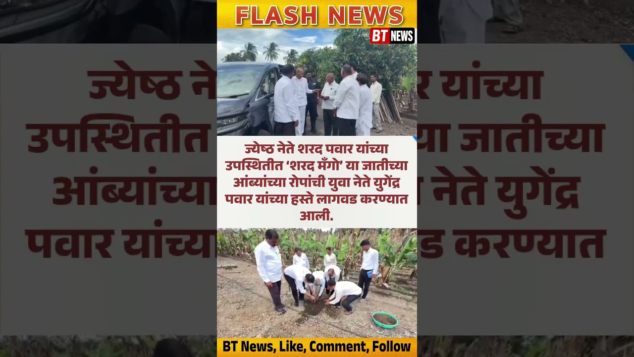 #sharadpawar #yugendrapawar # #ytshorts #btnews #viralvideo #ncp #viral #news #maharashtranews