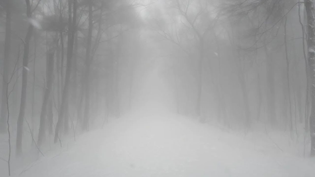 《백색을 향해 걷는다》Walking Into the White