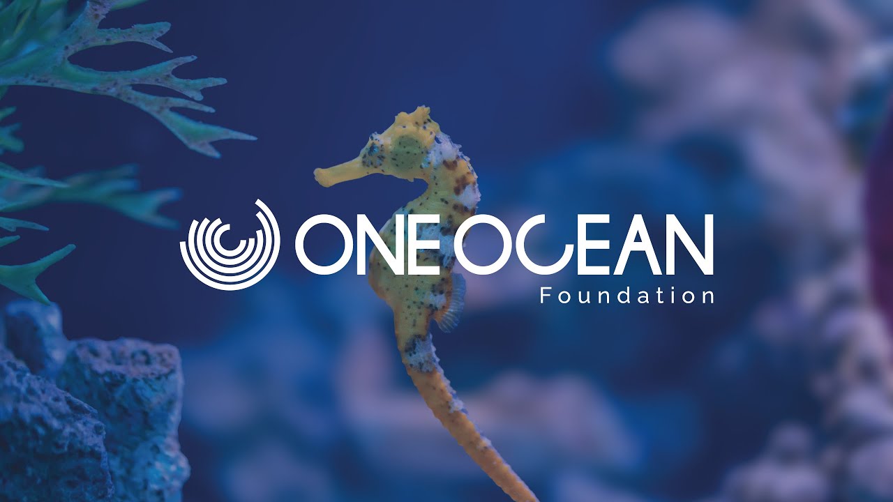 One Ocean Foundation 2025