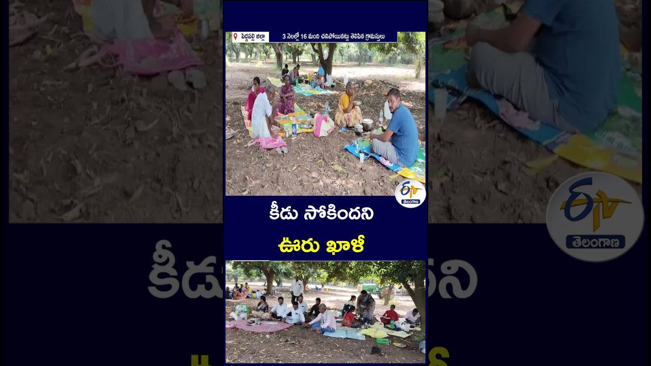 కీడు సోకిందని ఊరు ఖాళీ #VillageEvacuation #Superstition #VillageNews #StrangeIncident #TelanganaNews