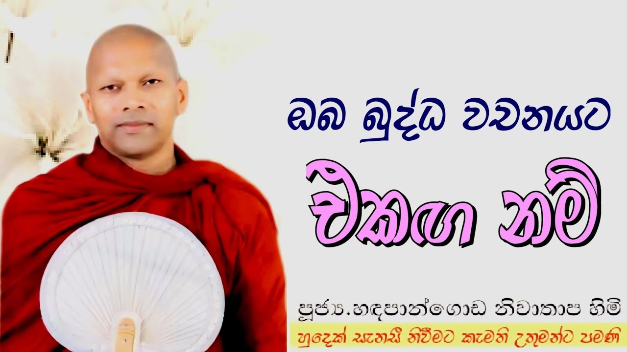 ඔබ බුද්ධ වචනයට එකගනම් #ven.Hadapangoda Niwathapa thero#dharmayai obai #pahura