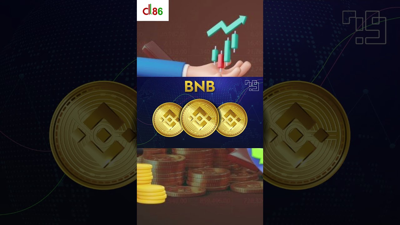 Lợi Thế Khi Đầu Tư V&agrave;o Binance Coin (BNB) - Tại Sao Bạn N&ecirc;n Chọn BNB!