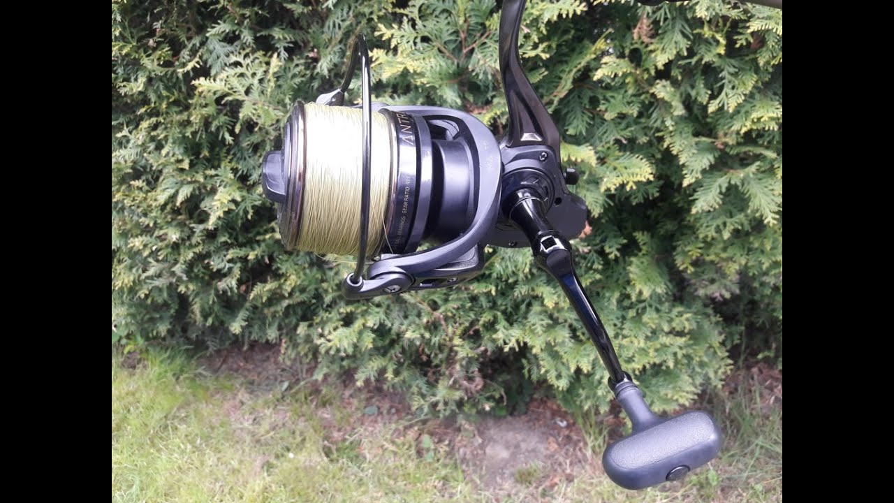 Delphin Mantra 12000 Filmy w jakości 1080 HD