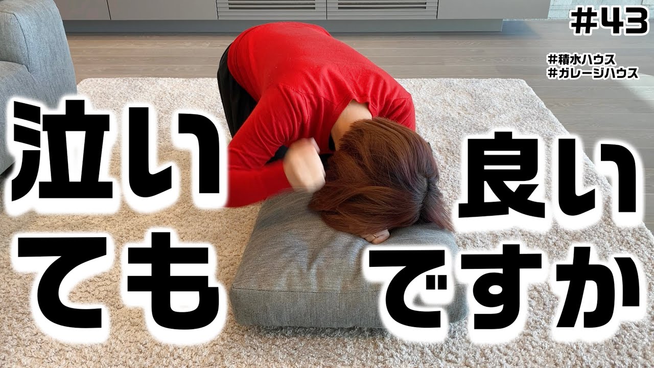 【泣いても良いですか】我が家に起きた、解決できない最悪の出来事を話します【ブチギレて良いですか】【積水ハウスのガレージハウス】