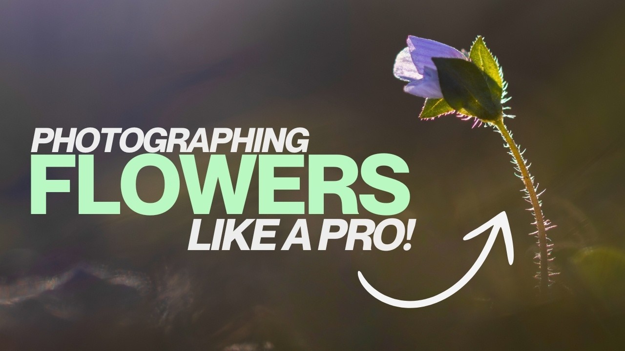 How to Photograph Spring Flowers Like a Pro!🌸📷 (Any Gear, Any Level)