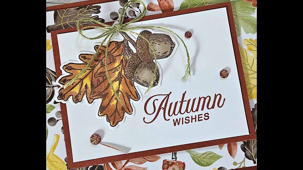 Amber Autumn Spotlight Series
