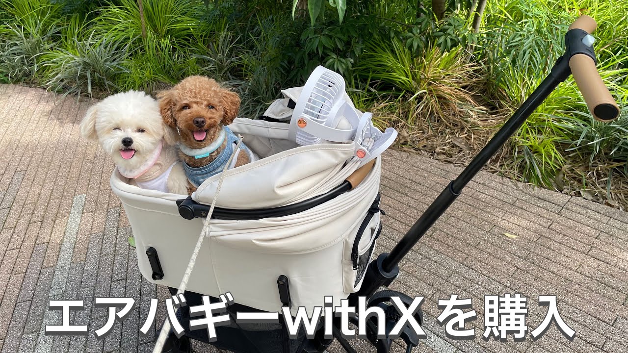 エアバギーwithXを購入しました【AIRBUGGYwithX】