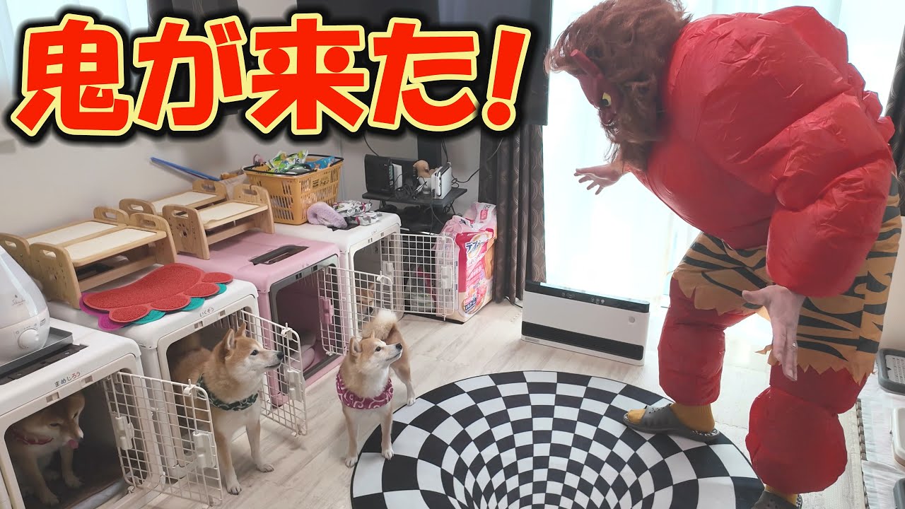 見た目は恐いけど、超優しい鬼が侵入して来たら、柴犬達はどうする？