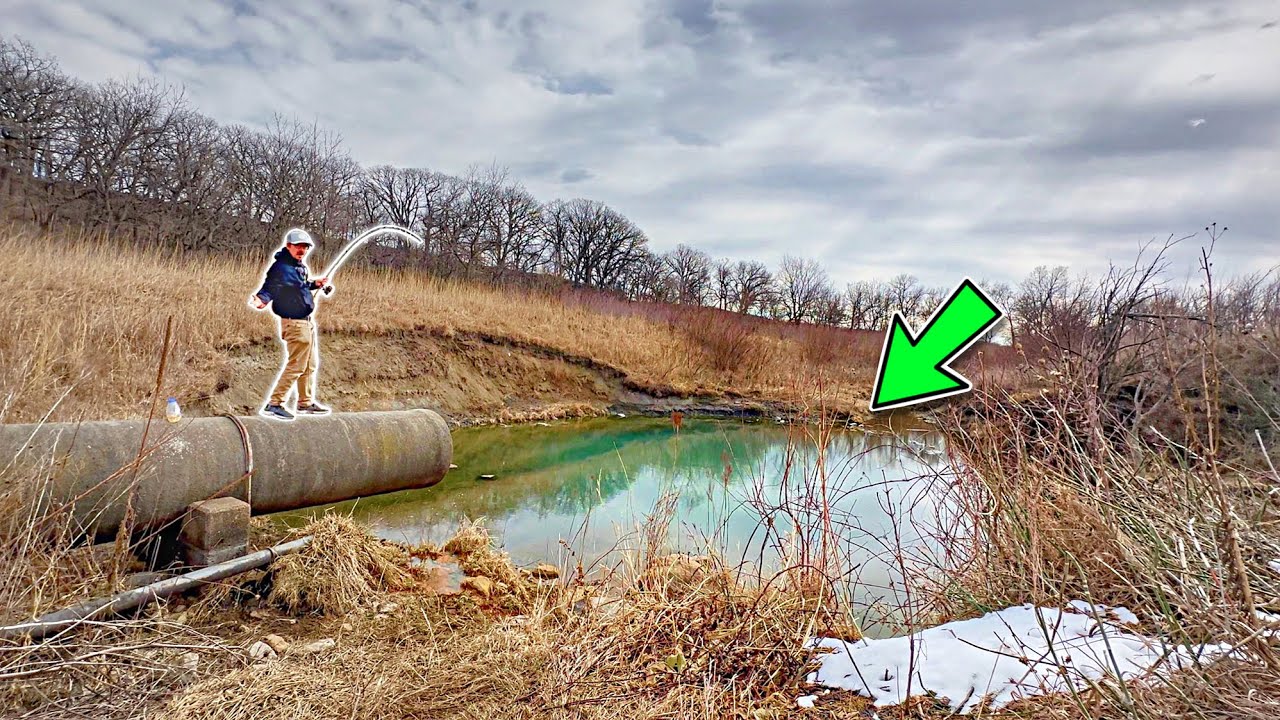 This Tiny Spillway Is Like Fishing An AQUARIUM!!! (They're Back)