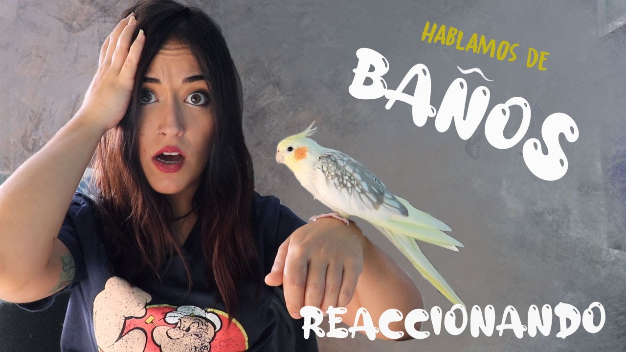 ¡EL BAÑO! - REACCIONO A VIDEOS 🤨