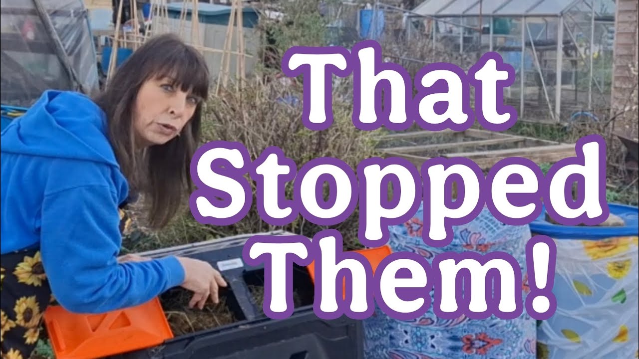 Выполните эти работы в саду в марте! / Садовый участок в Великобритании (Feel Good Garden UK)