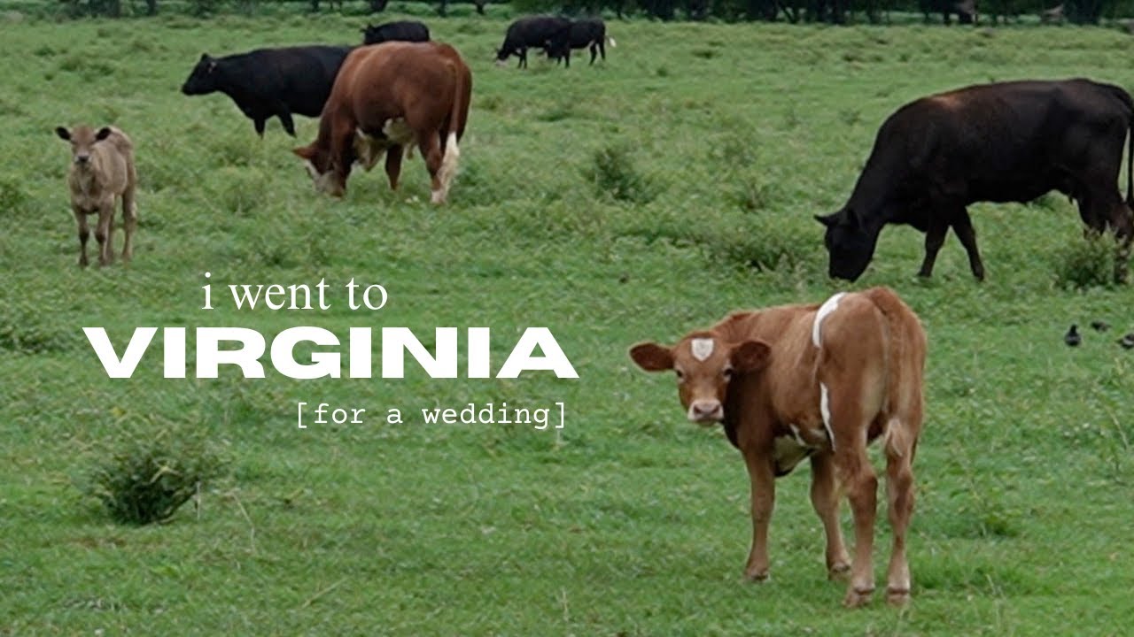 i went to virginia