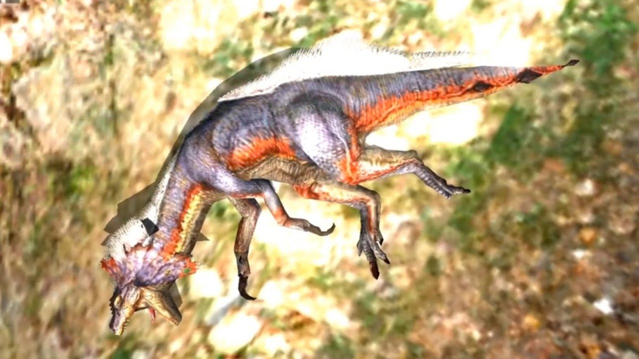 A Great Jaggi timeline 2009-2021