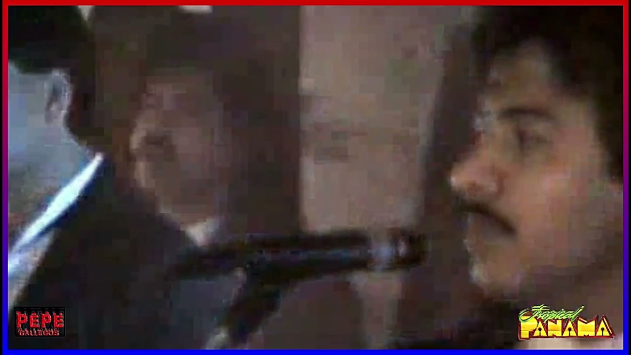 armando el gallito en vivo tropical panama