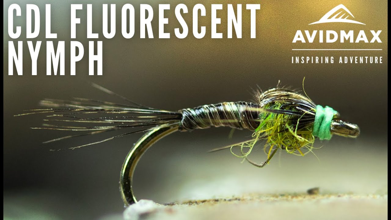 How to tie the FL CDL Nymph | AvidMax Fly Tying Tuesday Tutorials