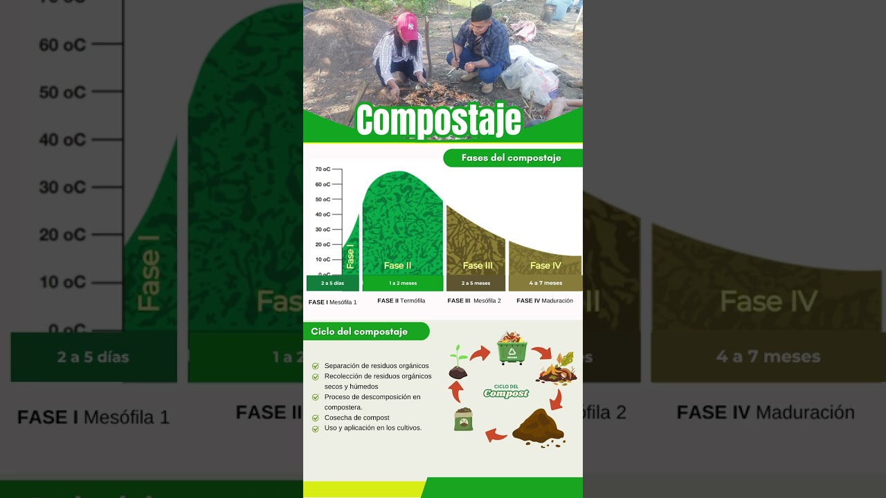 Fases del compostaje