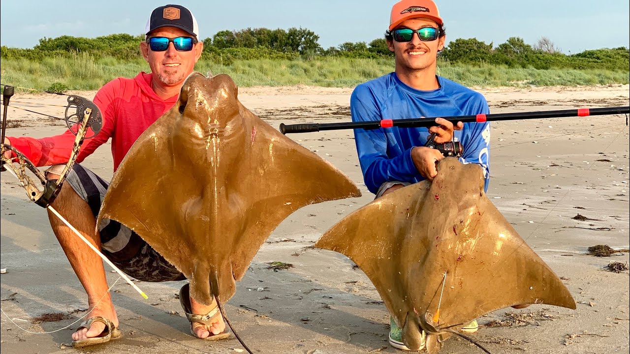 COWNOSE RAY Catch Clean and Cook (WORLD RECORD )