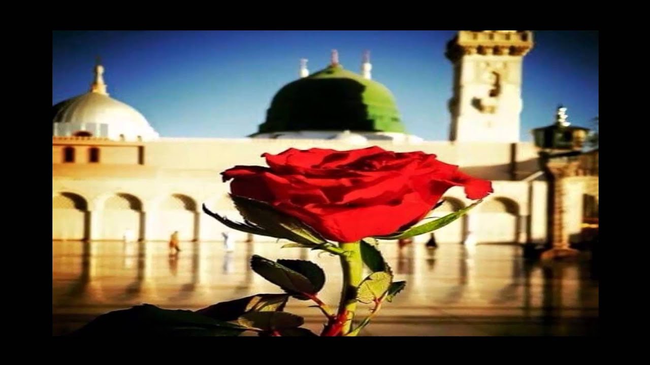 قراءة قصة مولد البرزنجي للمنشد علي طرمون (2رضاعته ونشأته ﷺ)