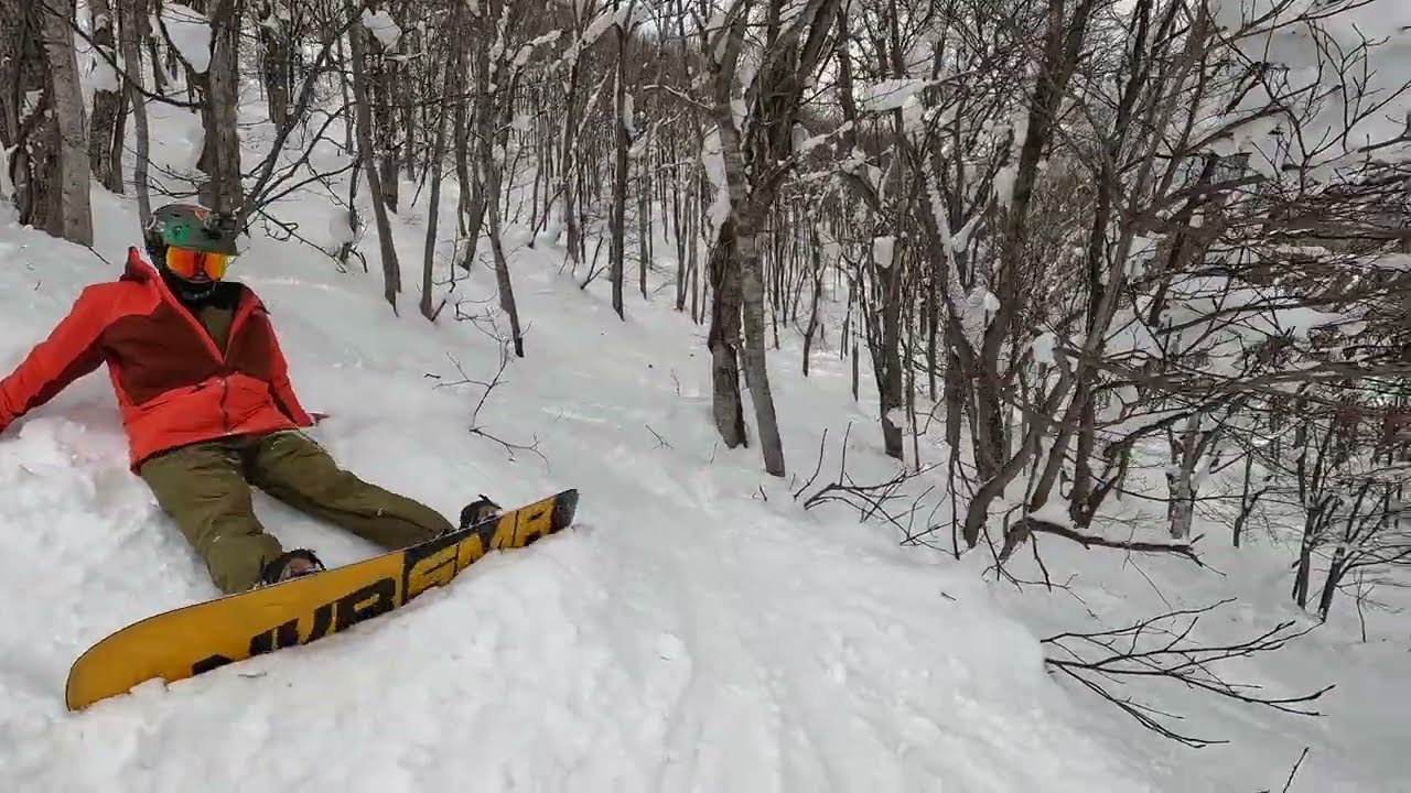 Legend of Shinya Trees aka Blueberry Fields, Niseko Hanazono Ski Resort