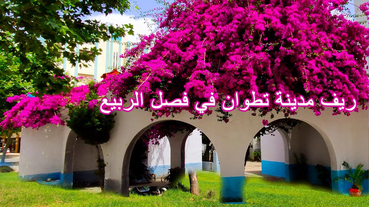 سد أسمير تطوان