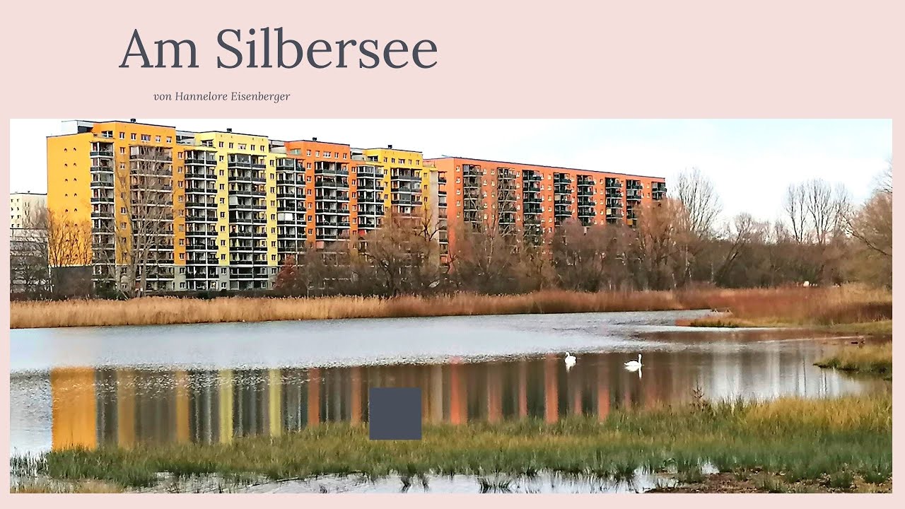 Erholungspark Lößnig - Dölitz vom 31.12. 2021