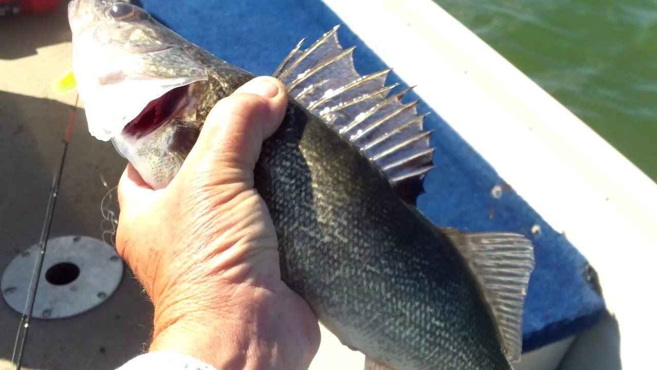 Leelanau Pines Campground, and fishing trip.  by Mike Meier DIY