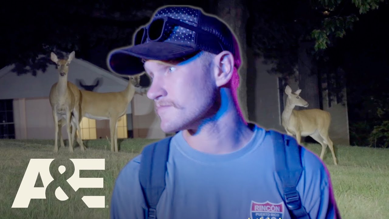 Deer Everywhere! Law Enforcement Aid Drivers Encountering Deer on the Road | Ozark Law | A&E