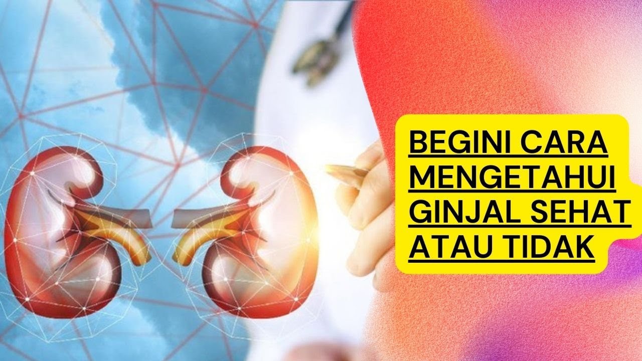 Ketahui 5 Ciri-Ciri Ginjal yang Sehat