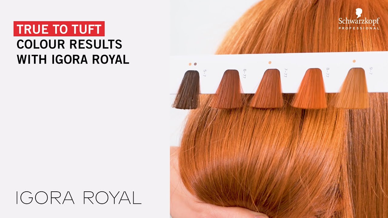 True to tuft colour results with IGORA ROYAL