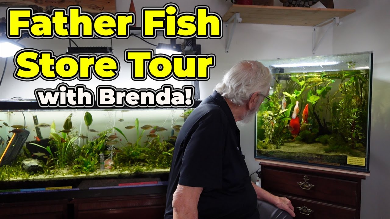 Экскурсия по магазину Amazing Father Fish!