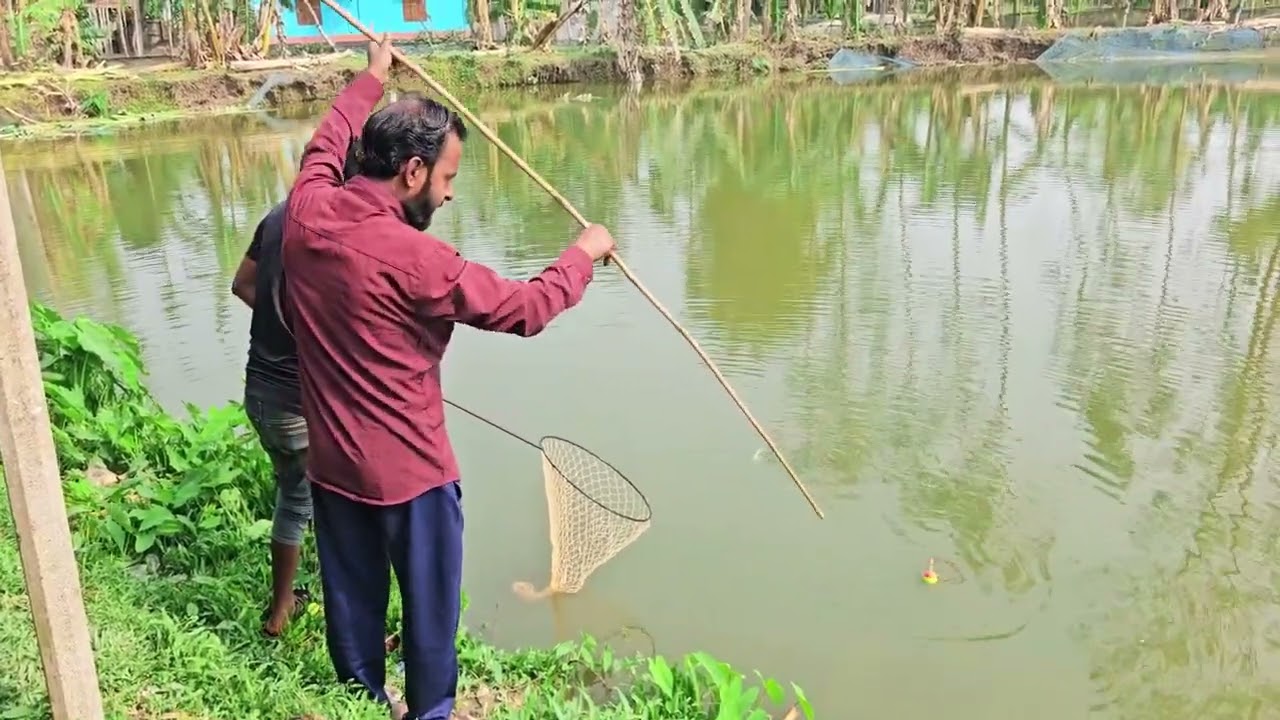 এই প্রথম পুকুরে এত বড় মাছ অবশেষে যা হলো 