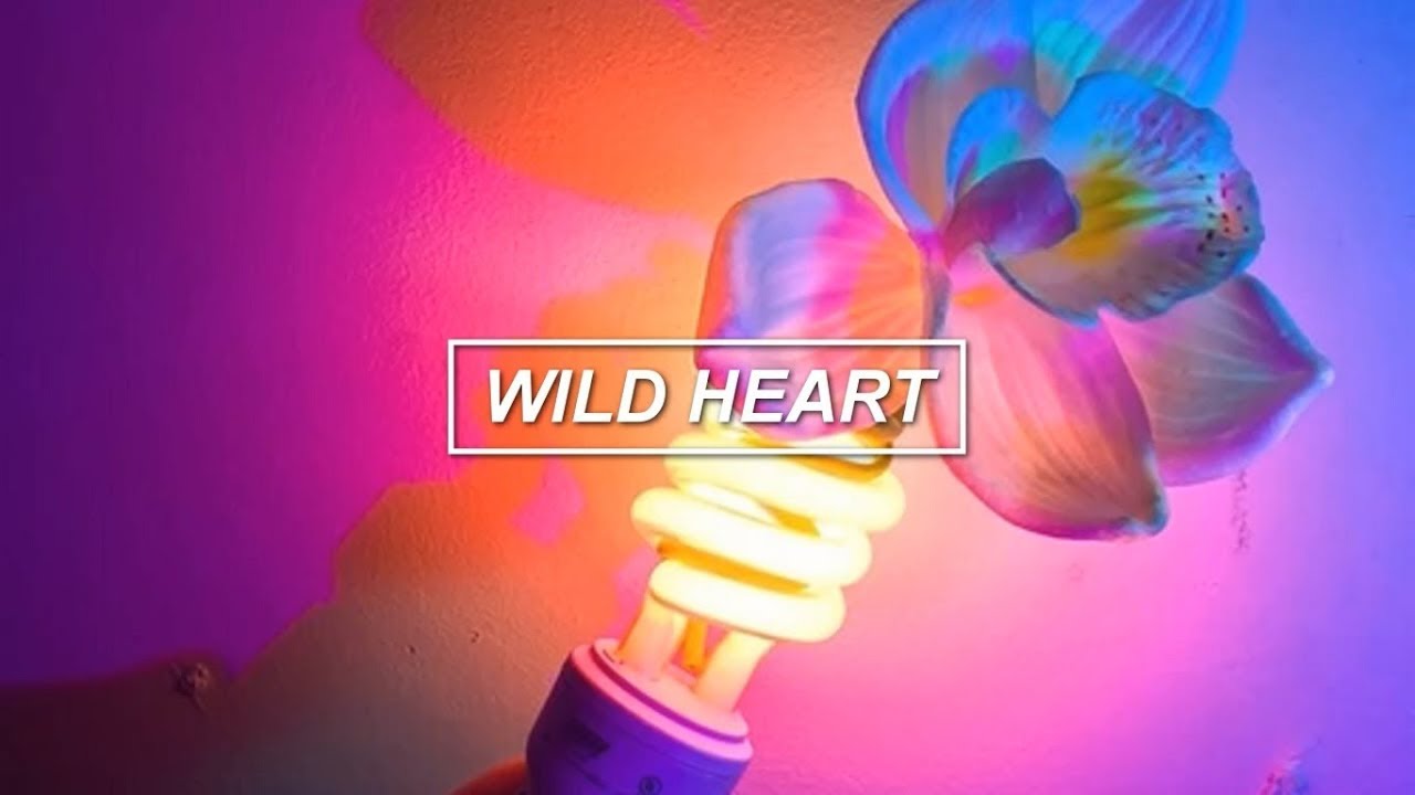 Wild Heart - The Vamps // español