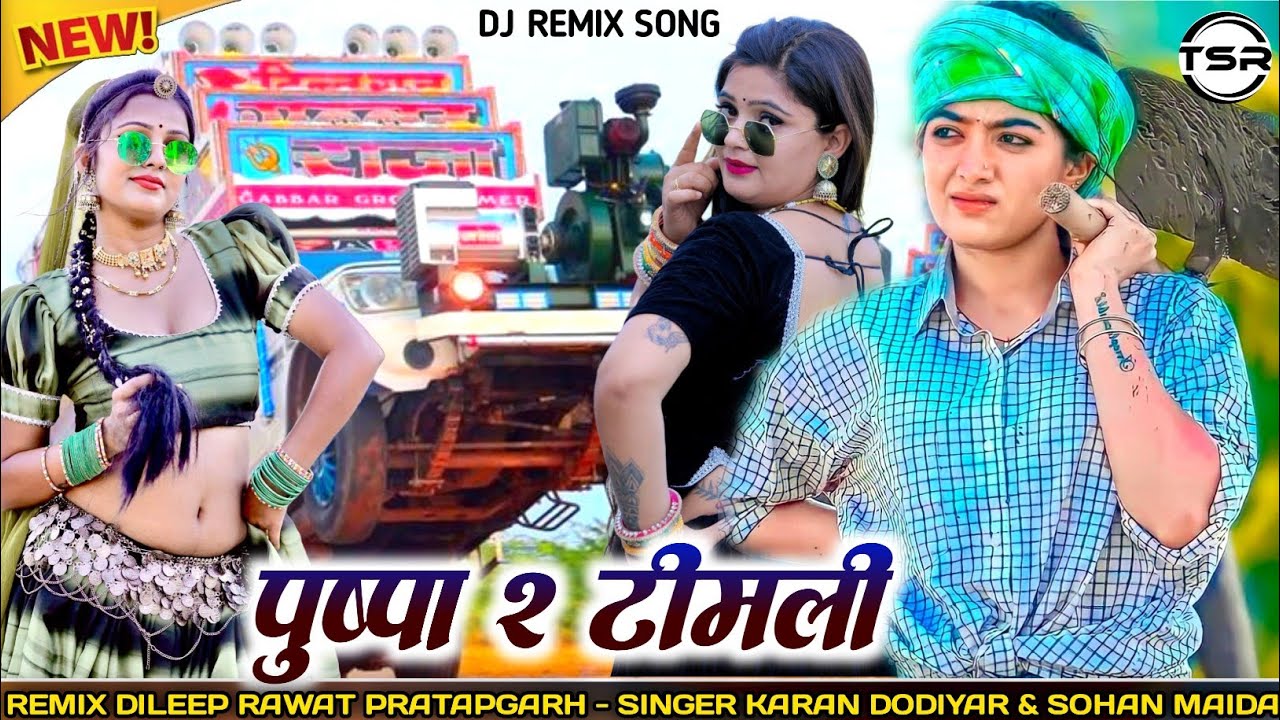 Pushpa 2 timli | Dodi Dodi Ne Banswara Timli Song | Dj Remix | Dodi Dodi Ne Malva | New Timli 2025