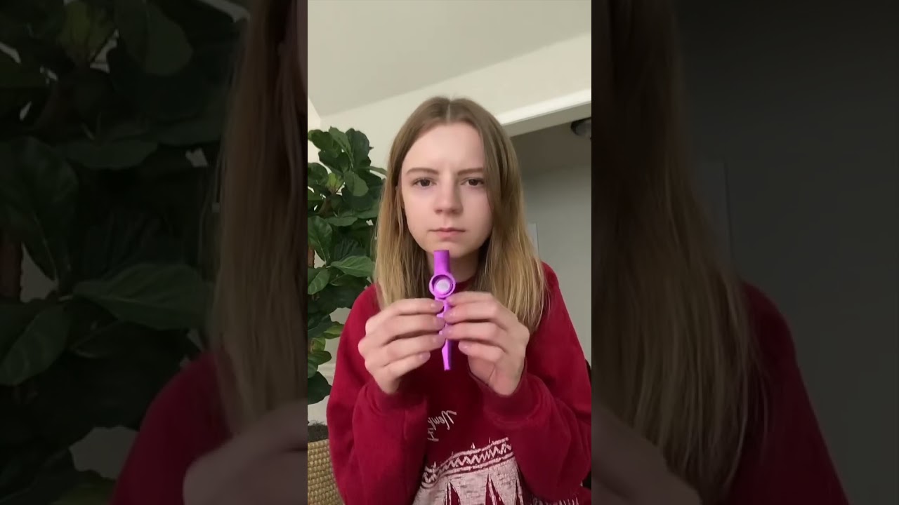 kazoo + voice changer = this