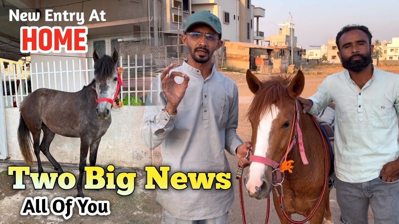 Two Big News 😍 and Update For my Viewers 😍 | New Bhimthadi Mare At Home 