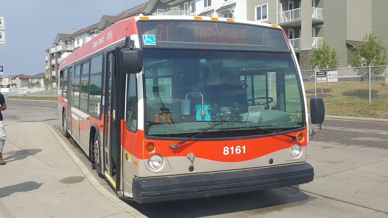 Calgary Transit 2011 Nova Bus LFS #8161 on Route 71 Taradale