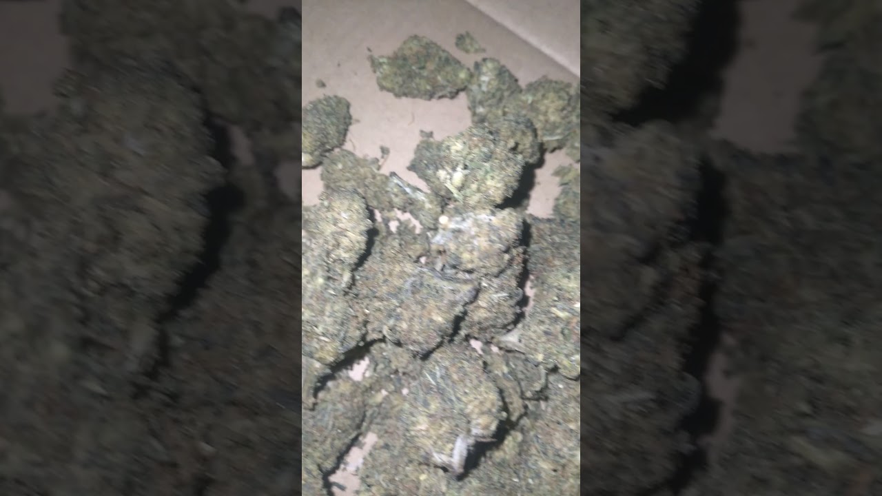 The hemp cartels Runtz D8 strain.