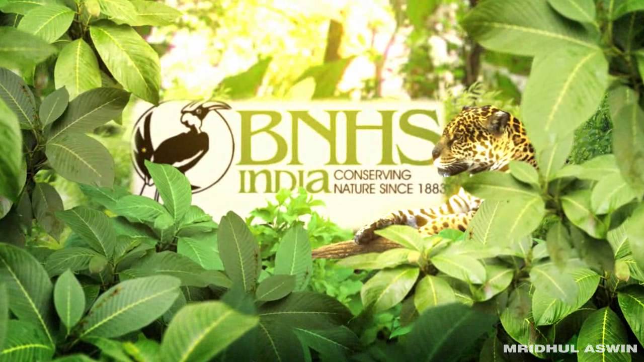 BOMBAY NATURAL HISTORY SOCIETY 1