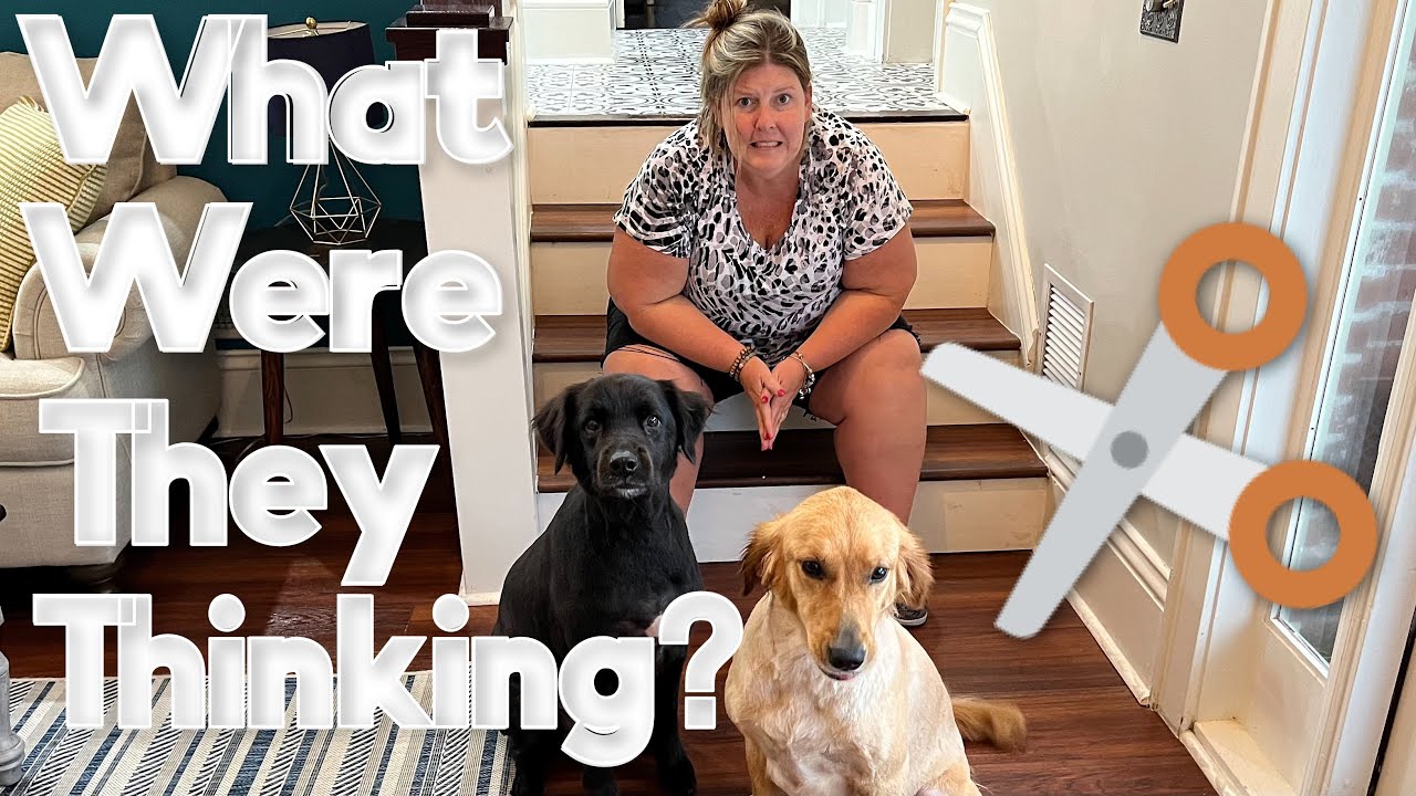 Ruined Our Dogs