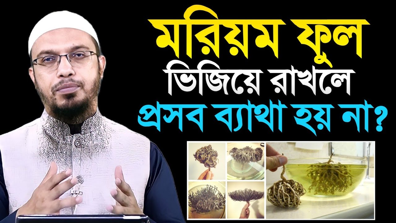 মরিয়ম ফুল ভিজিয়ে রাখলে প্রসব ব্যাথা হয় না! কথাটা কি সত্যে? শায়খ আহমাদুল্লাহ