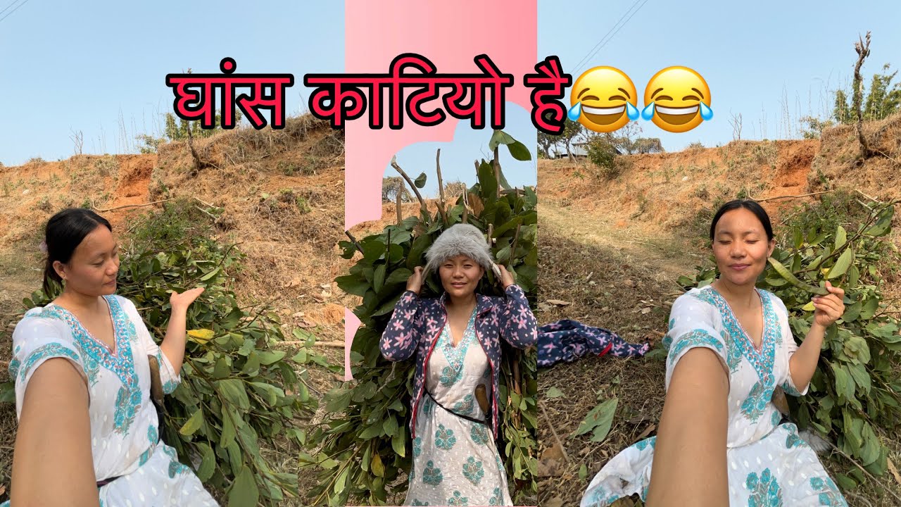 GAU GHAR/GHASH DAURA GARDAI😂👍