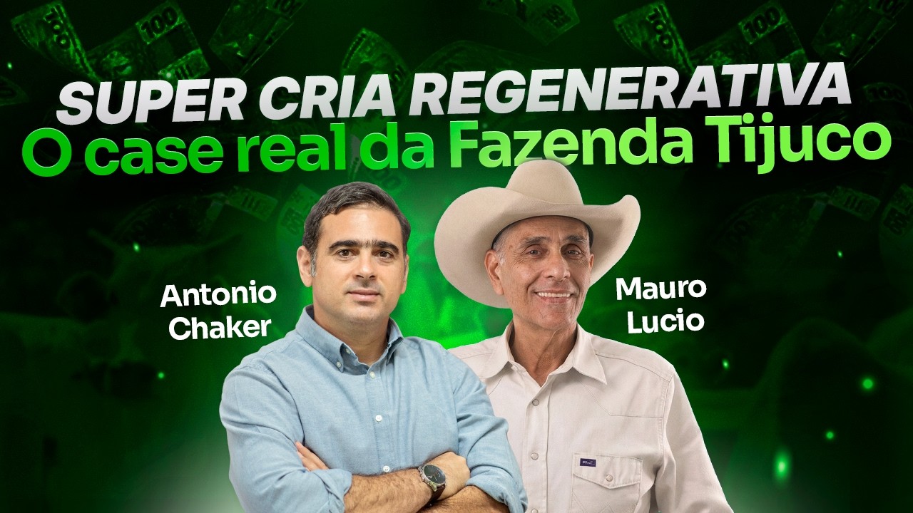 SUPER CRIA REGENERATIVA: O CASE REAL DA FAZENDA TIJUCO