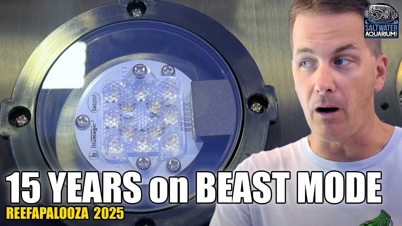X4 LED Light Upgrade: Lifetime Warranty, Beast Mode Power & New Spectrums - Reefapalooza Cali 2025