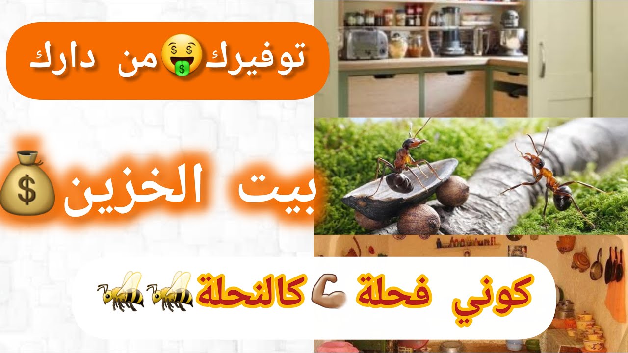 #بيت_الخزين وفوائده🤑تجديد بيت الخزين؟💰وكتاش تستهلكي من بيت الخزين؟أهمية بيت الخزين في كل دار🏠#نجاح🥰