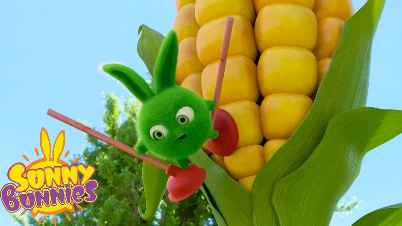 SUNNY BUNNIES - Giant Corn | Season 5 | Cartoons for Children