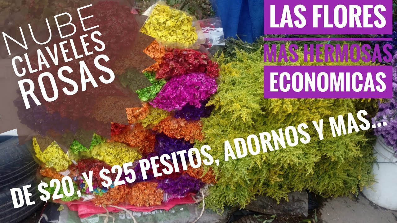 CENTRAL DE ABASTOS, ZONA DE FLORES HERMOSAS, ROSAS, CLAVEL, GIRASOL, Y MAS