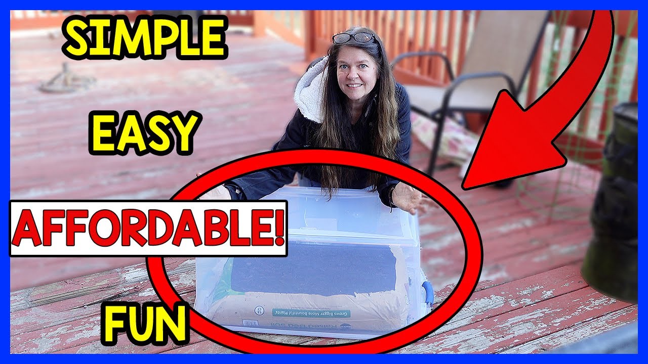 SIMPLE DIY THAT WILL YIELD ENDLESS FOOD YEAR ROUND | MUST TRY🥗 | GARDENING | ZONE 8A | TIPS TRICKS
