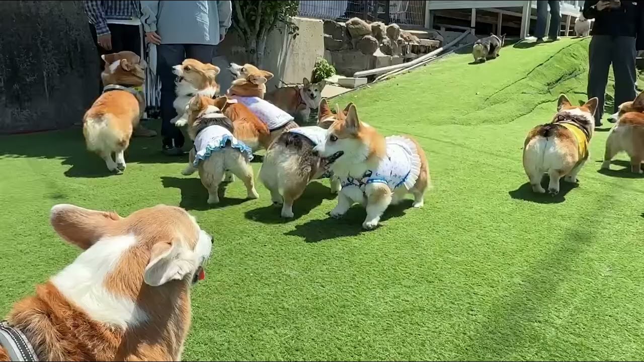 ネイビーっ子Day