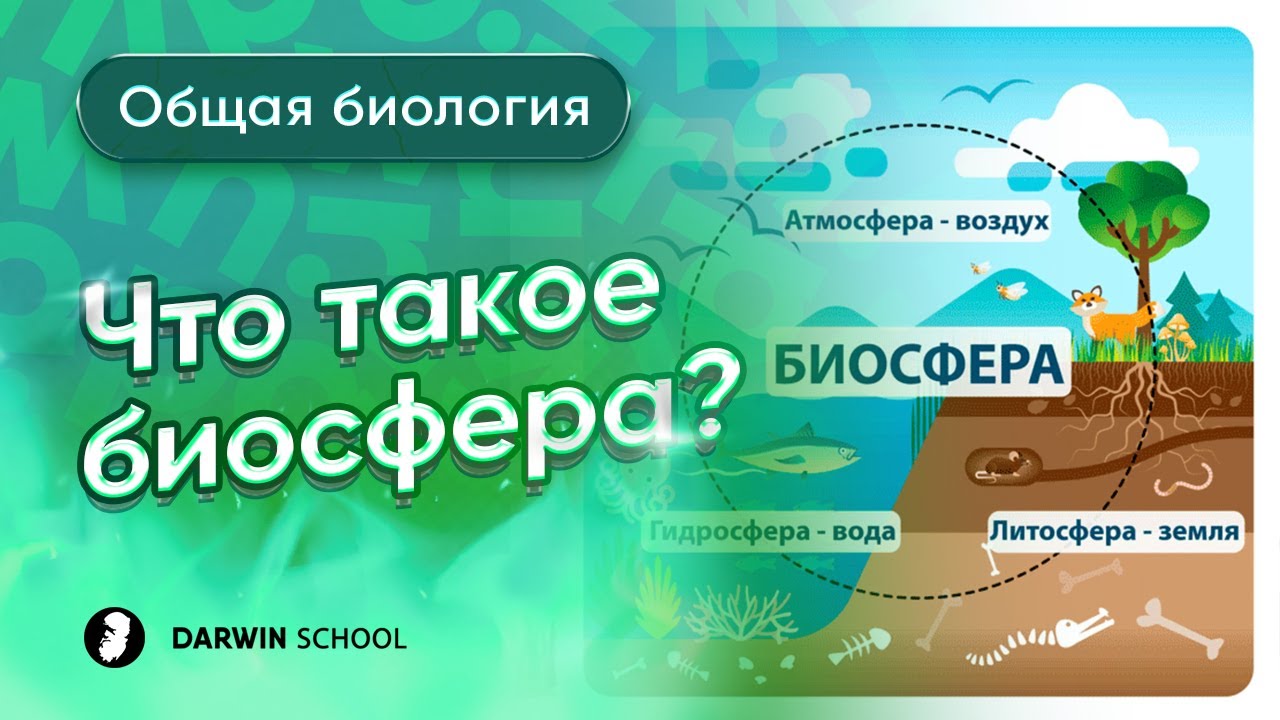 Что такое биосфера?