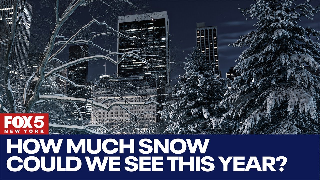 NYC winter 2024: How much snow could we see this year?